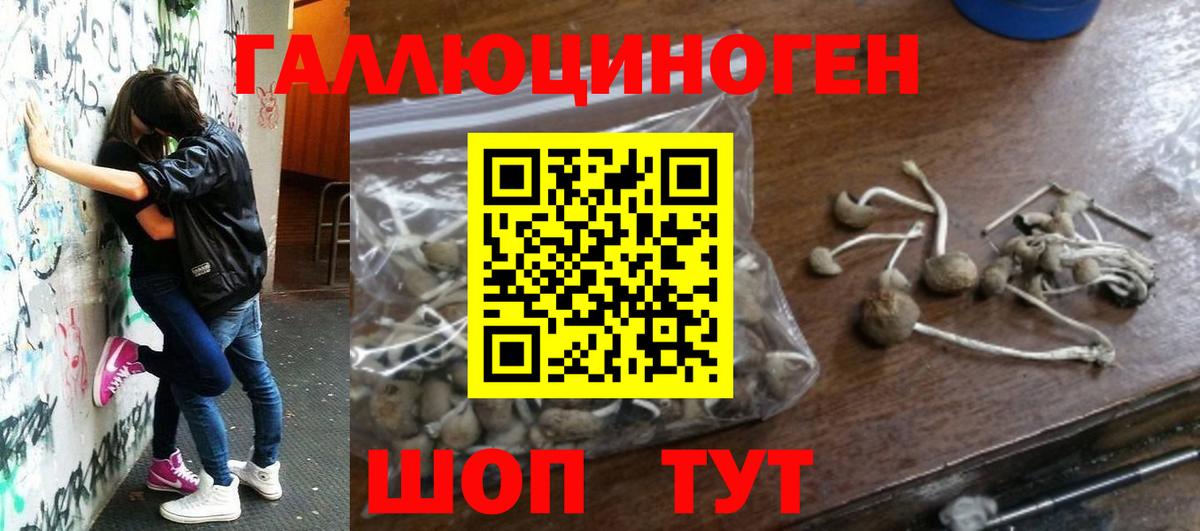 Галлюциногенные грибы ЛСД Троицк