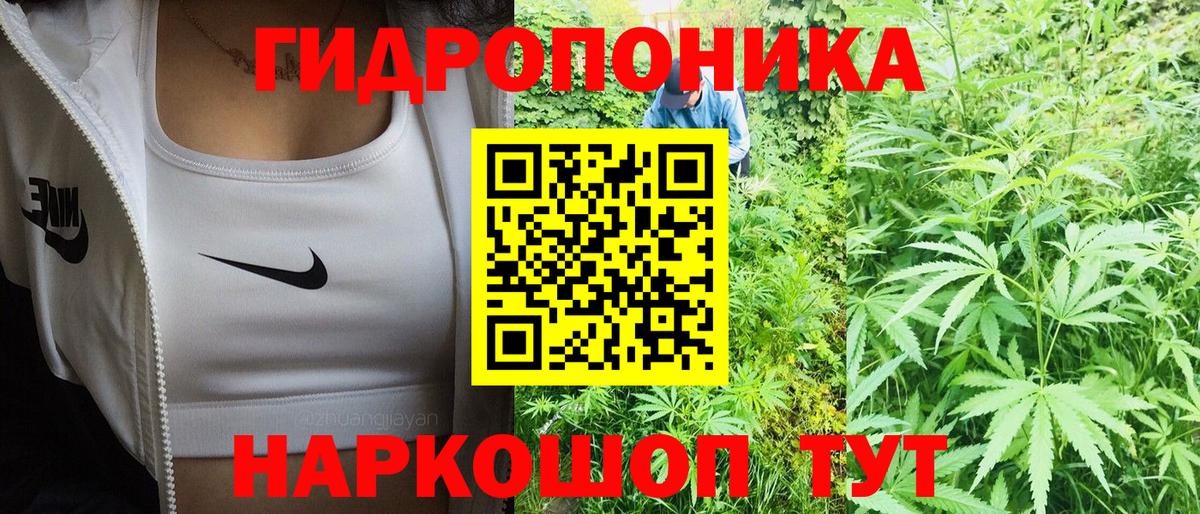 Шишки марихуана Bruce Banner Троицк